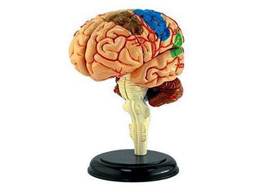 > </div>
<div class=